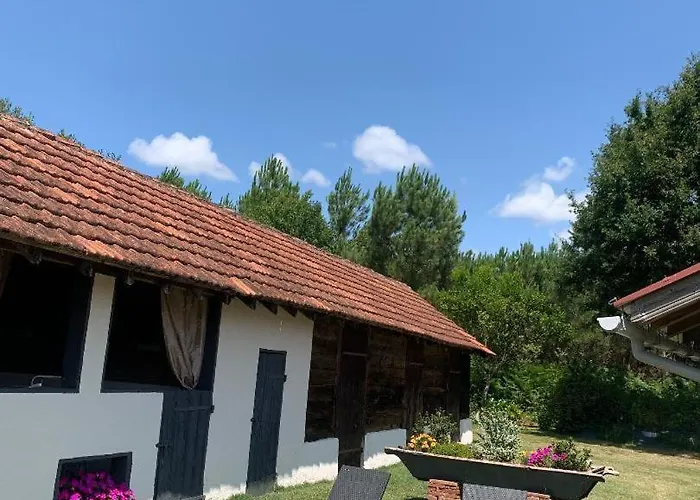 Le D'antoine * סן-ז'וליין-אן-בורן