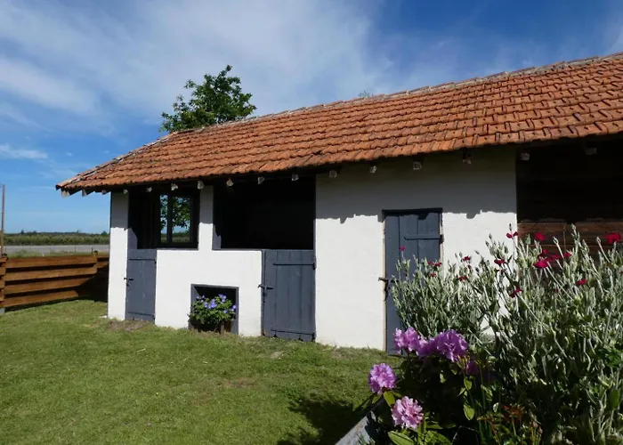 Le D'antoine Vakantiehuis Saint-Julien-en-Born